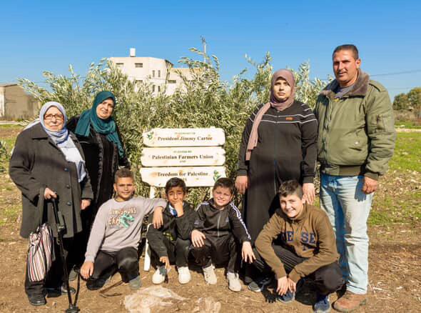Olive tree planted in Tulkarem Palestine in honour of Nagham Odeh