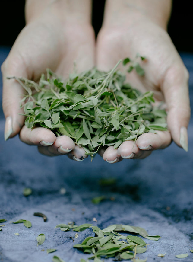 The Benefits of Sage Essential Oil for Skin & Hair: The Aromatic Secret Behind Olive & Foam