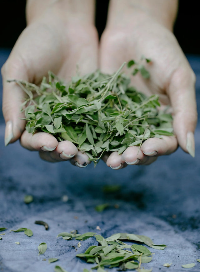 The Benefits of Sage Essential Oil for Skin & Hair: The Aromatic Secret Behind Olive & Foam