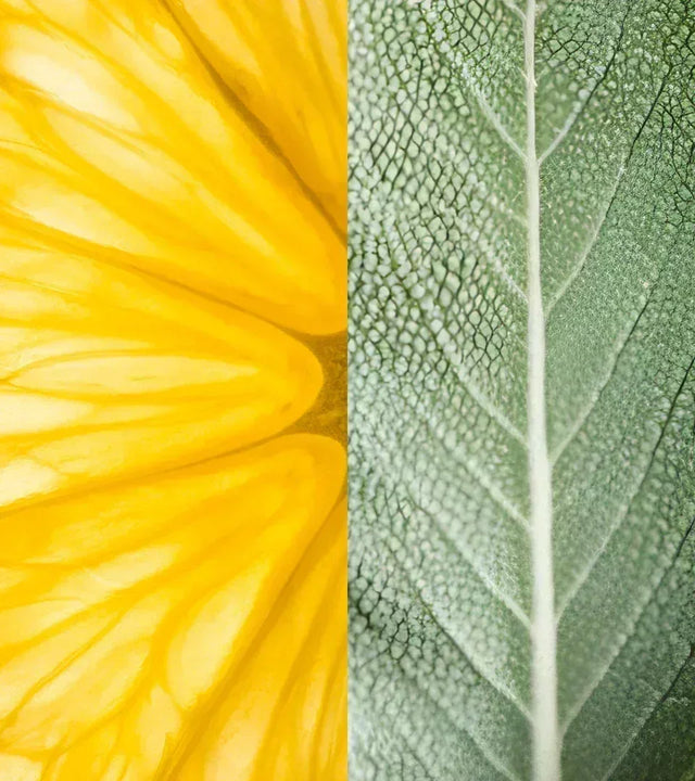 Conditioner - Sage & Citrus (500ml)