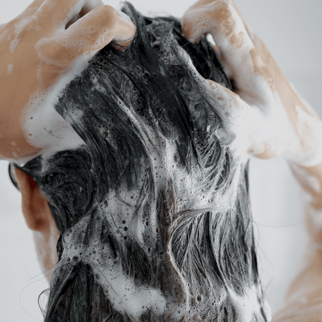Shampoo - Sage & Citrus (500ml)