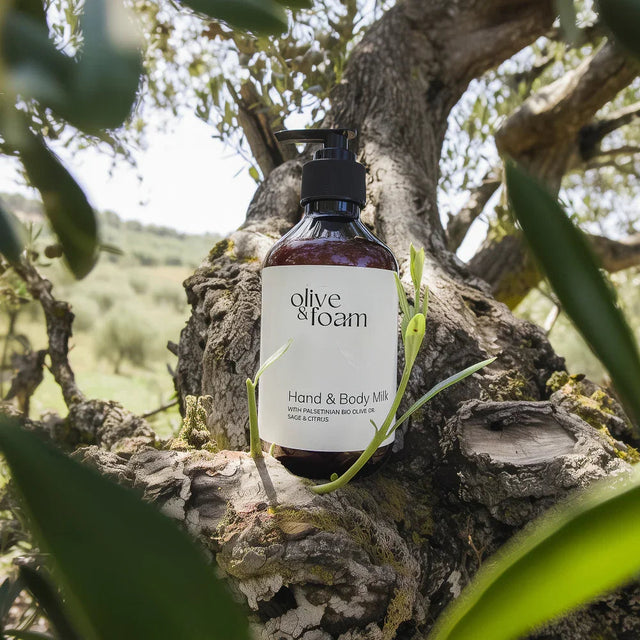 روتين العناية بالبشرة بزيت الزيتون الفلسطيني من Olive & Foam