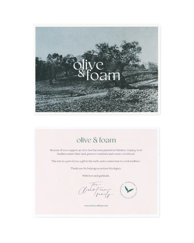 Olive & Foam olive trees planting in Palestine story card