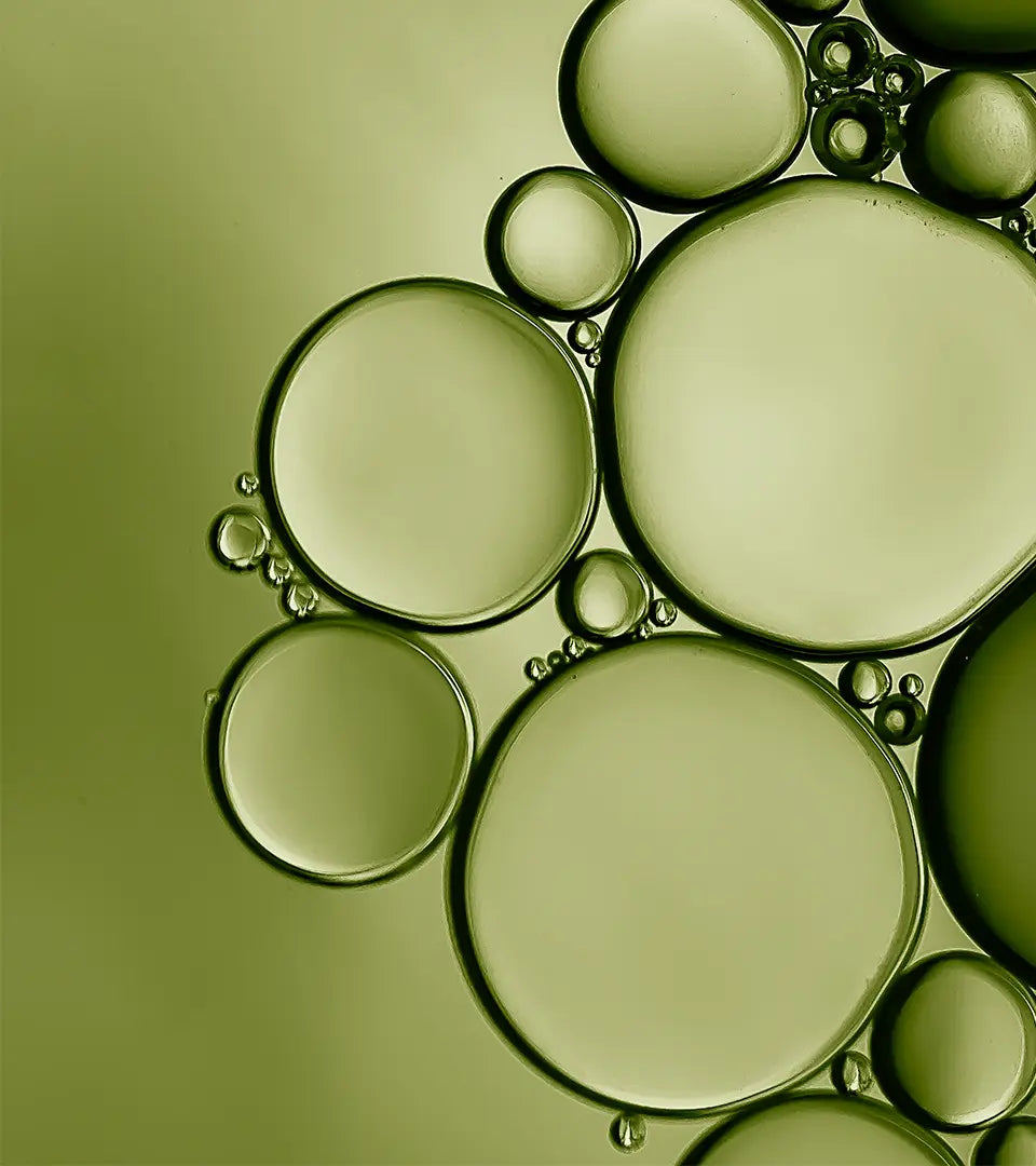 Palestinian bio olive oil from ancient groves — the key ingredient in Olive & Foam