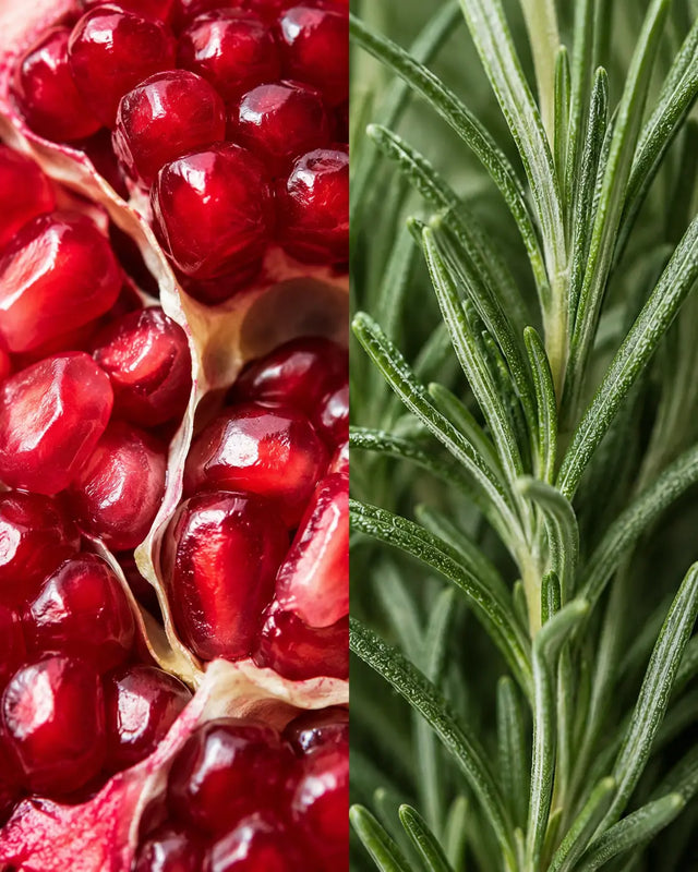 Pomegranate and rosemary botanicals — the signature fragrance of Olive & Foam