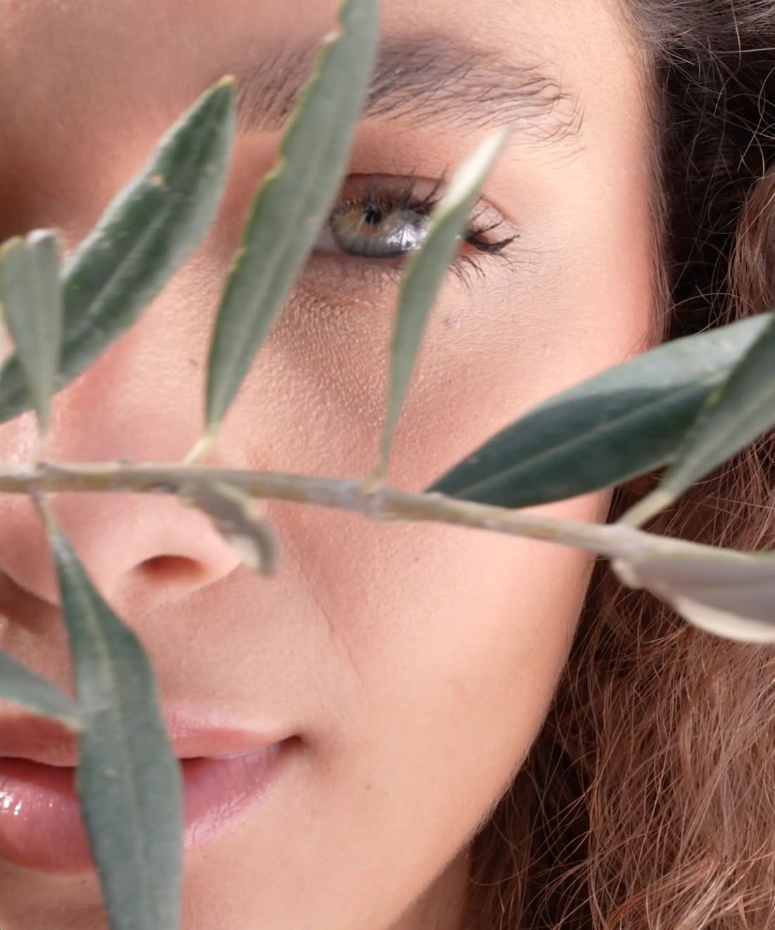 Palestinian olive oil personal care products — Olive & Foam UAE